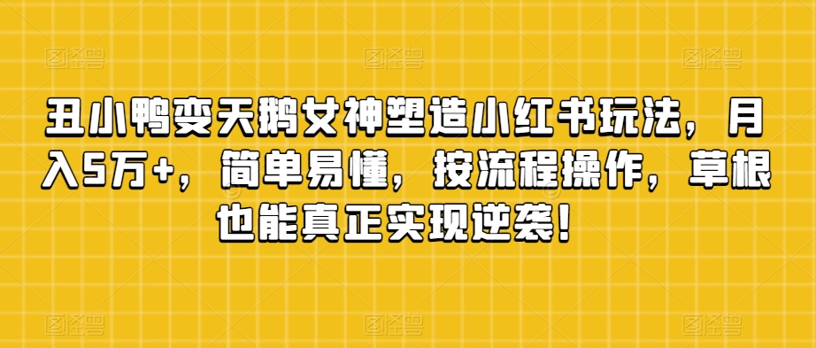 丑小鸭变天鹅女神塑造小红书玩法，月入5万+，简单易懂，按流程操作，草根也能真正实现逆袭！-婷好网络资源库