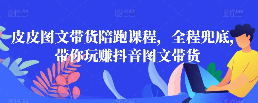 皮皮图文带货陪跑课程，全程兜底，带你玩赚抖音图文带货-婷好网络资源库