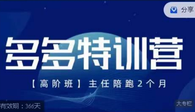 纪主任·多多特训营高阶班【9月13日更新】，拼多多最新玩法技巧落地实操-婷好网络资源库