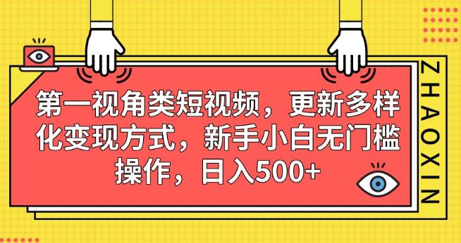 第一视角类短视频，更新多样化变现方式，新手小白无门槛操作，日入500+【揭秘】-婷好网络资源库