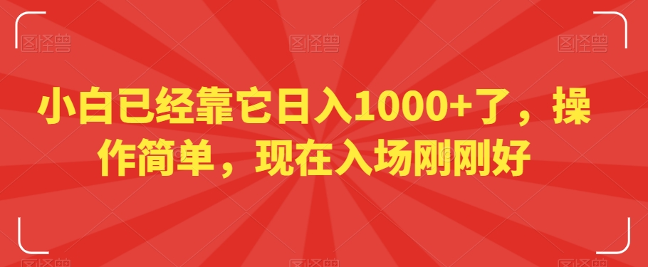 小白已经靠它日入1000+了，操作简单，现在入场刚刚好【揭秘】-婷好网络资源库