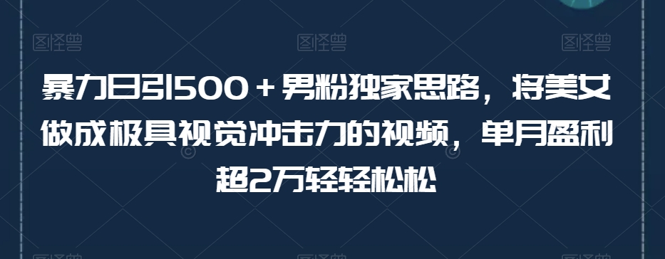 暴力日引500＋男粉独家思路，将美女做成极具视觉冲击力的视频，单月盈利超2万轻轻松松-婷好网络资源库