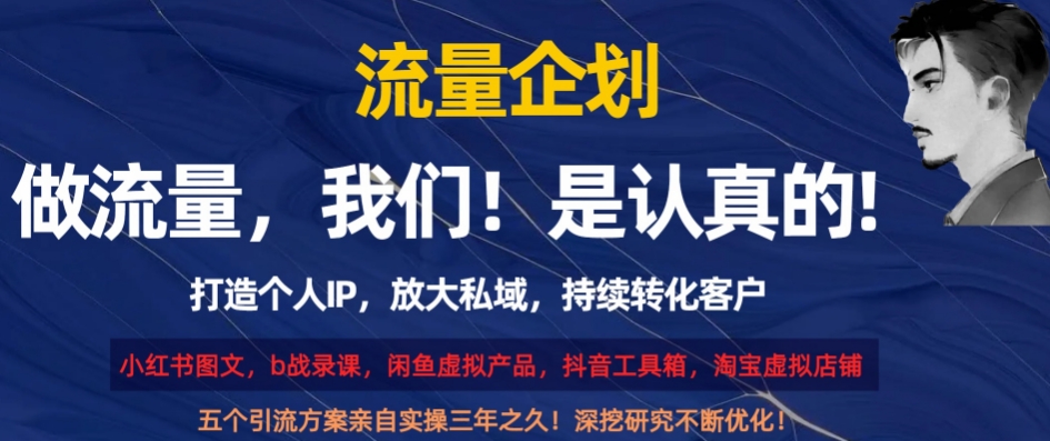 流量企划，打造个人IP，放大私域，持续转化客户【揭秘】-婷好网络资源库