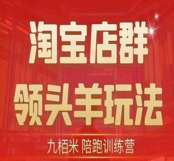 九栢米-淘宝店群领头羊玩法，教你整个淘宝店群领头羊玩法以及精细化/终极蓝海/尾销等内容-婷好网络资源库