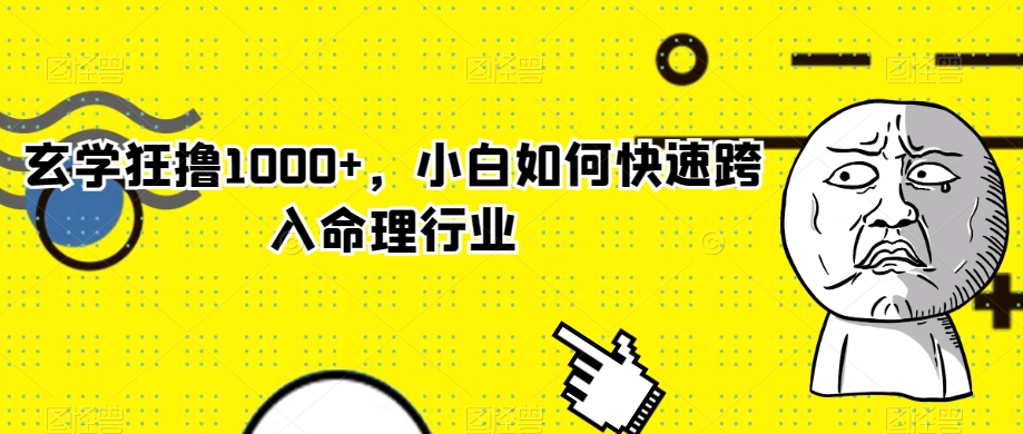 玄学狂撸1000+，小白如何快速跨入命理行业【揭秘】-婷好网络资源库