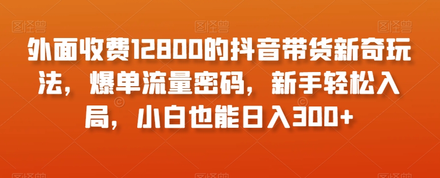 外面收费12800的抖音带货新奇玩法，爆单流量密码，新手轻松入局，小白也能日入300+【揭秘】-婷好网络资源库