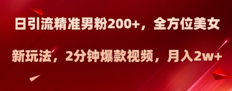 日引流精准男粉200+，全方位美女新玩法，2分钟爆款视频，月入2w+【揭秘】-婷好网络资源库