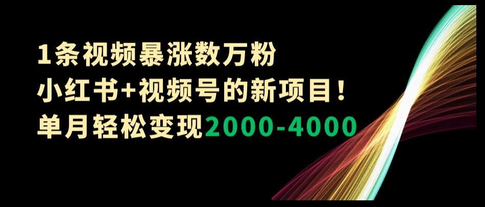 1条视频暴涨数万粉–小红书+视频号的新项目！单月轻松变现2000-4000【揭秘】-婷好网络资源库