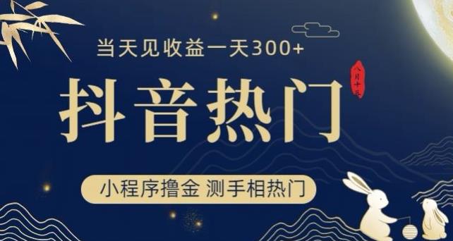 抖音最新小程序撸金，测手相上热门，当天见收益一小时变现300+【揭秘】-婷好网络资源库