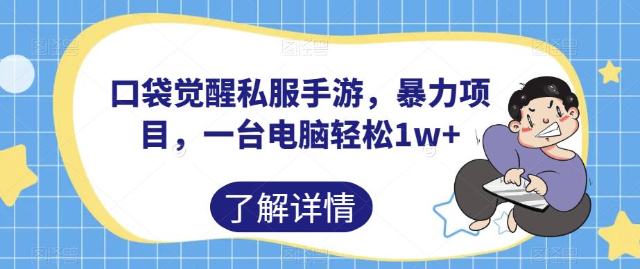 口袋觉醒私服手游，暴力项目，一台电脑轻松1w+【揭秘】-婷好网络资源库