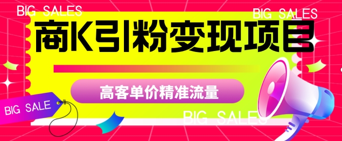 商K引粉变现项目，高客单价精准流量【揭秘】-婷好网络资源库