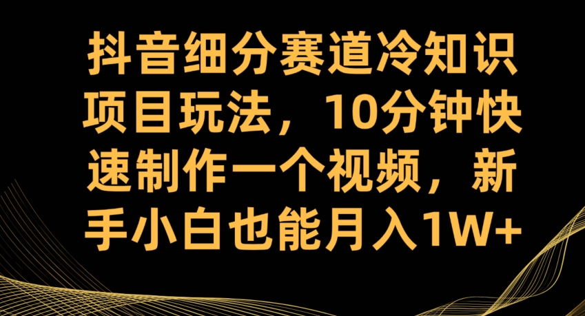 抖音细分赛道冷知识项目玩法，10分钟快速制作一个视频，新手小白也能月入1W+【揭秘】-婷好网络资源库