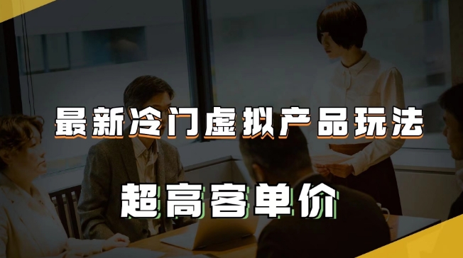 最新冷门虚拟产品玩法，超高客单价，月入2-3万＋【揭秘】-婷好网络资源库