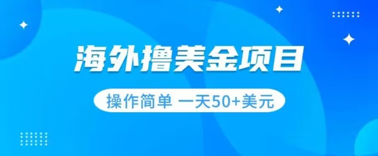 撸美金项目无门槛操作简单小白一天50+美刀-婷好网络资源库