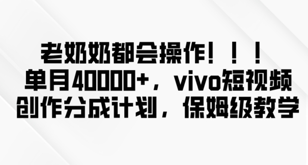 老奶奶都会操作，新平台无脑操作，单月40000+，vivo短视频创作分成计划【揭秘】-婷好网络资源库