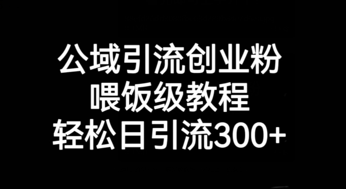 公域引流创业粉，喂饭级教程，轻松日引流300+【揭秘】-婷好网络资源库