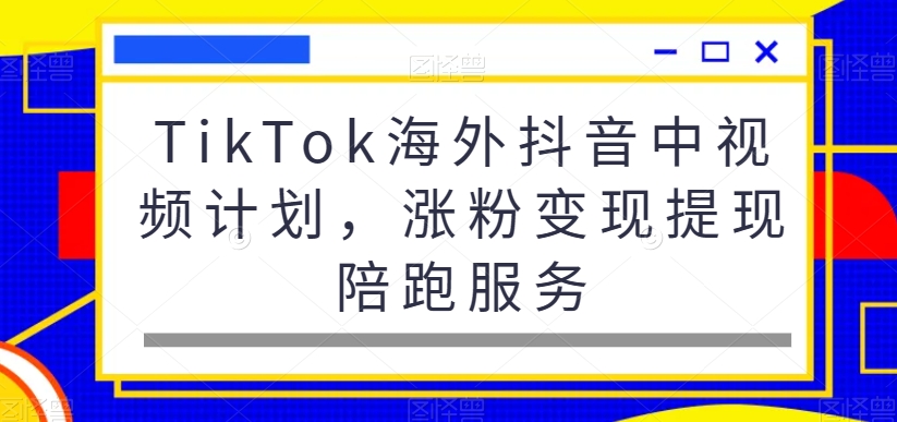 TikTok海外抖音中视频计划，涨粉变现提现陪跑服务-婷好网络资源库