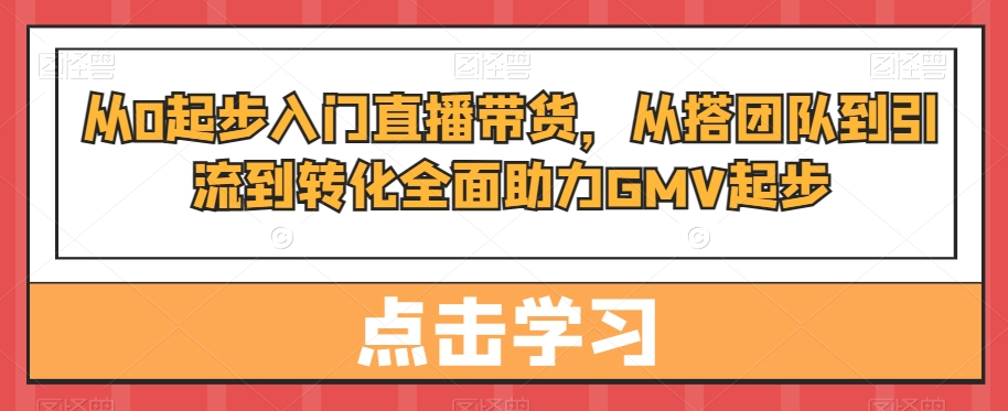 从0起步入门直播带货，​从搭团队到引流到转化全面助力GMV起步-婷好网络资源库