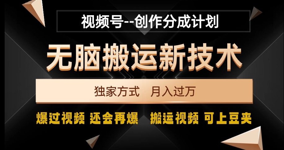 视频号无脑搬运新技术，破原创壕流量，独家方式，爆过视频，还会再爆【揭秘】-婷好网络资源库