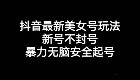 抖音最新美女号玩法，新号不封号，暴力无脑安全起号【揭秘】-婷好网络资源库