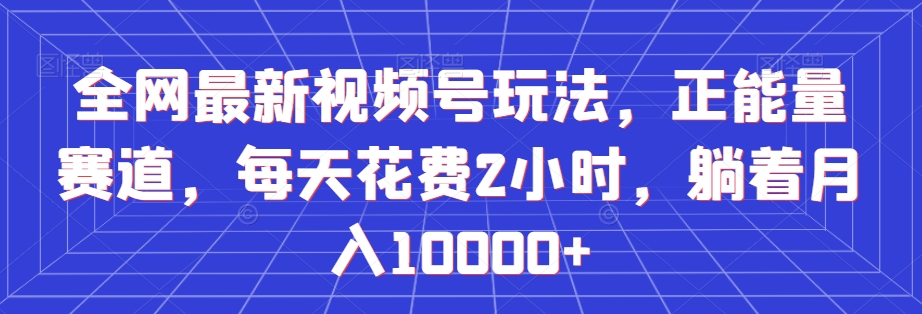 全网最新视频号玩法，正能量赛道，每天花费2小时，躺着月入10000+【揭秘】-婷好网络资源库