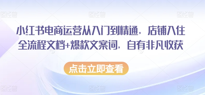 小红书电商运营从入门到精通，店铺入住全流程文档+爆款文案词，自有非凡收获-婷好网络资源库