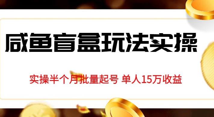独家首发咸鱼盲盒玩法实操，半个月批量起号单人15万收益【揭秘】-婷好网络资源库