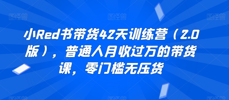 小Red书带货42天训练营（2.0版），普通人月收过万的带货课，零门槛无压货-婷好网络资源库