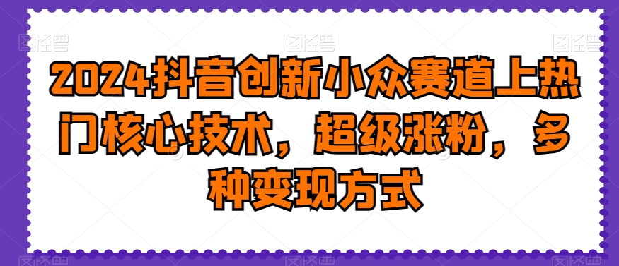 2024抖音创新小众赛道上热门核心技术，超级涨粉，多种变现方式【揭秘】-婷好网络资源库