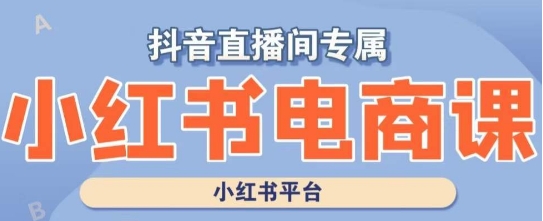 小红书电商高级运营课程，实操教学+案例分析-婷好网络资源库