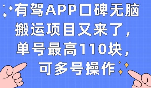 有驾APP口碑无脑搬运项目又来了，单号最高110块，可多号操作-婷好网络资源库