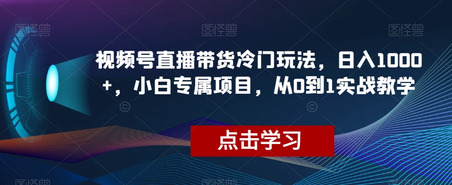 视频号直播带货冷门玩法，日入1000+，小白专属项目，从0到1实战教学【揭秘】-婷好网络资源库