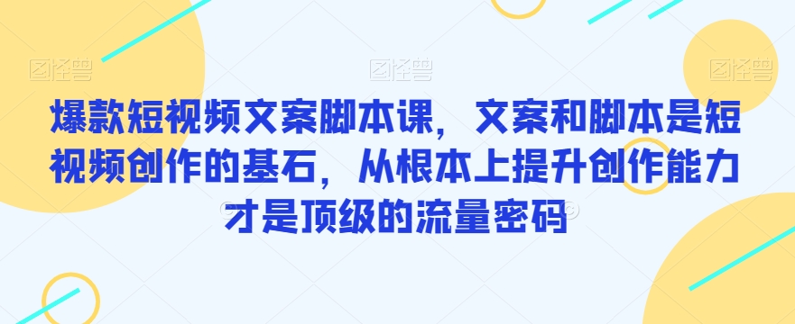 爆款短视频文案脚本课，文案和脚本是短视频创作的基石，从根本上提升创作能力才是顶级的流量密码-婷好网络资源库