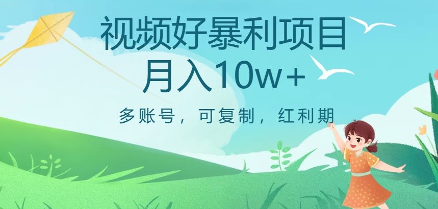 视频号暴利项目，多账号，可复制，红利期，月入10w+【揭秘】-婷好网络资源库