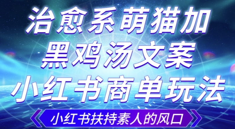 治愈系萌猫加+黑鸡汤文案，小红书商单玩法，3~10天涨到1000粉，一单200左右-婷好网络资源库