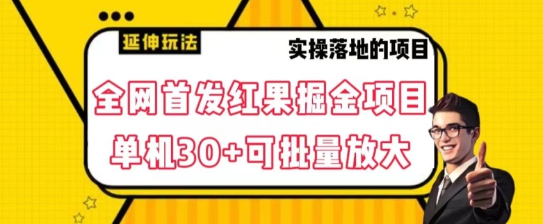 全网首发红果免费短剧掘金项目，单机30+可批量放大【揭秘】-婷好网络资源库