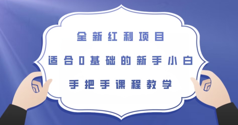 全新红利项目，适合0基础的新手小白，手把手课程教学【揭秘】-婷好网络资源库