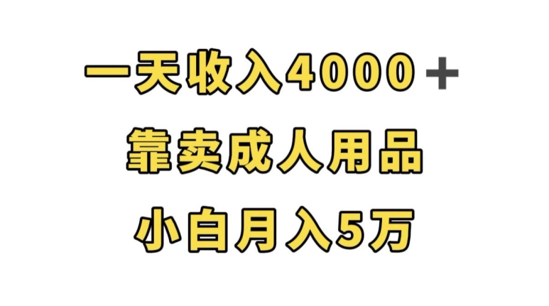 一天收入4000+，靠卖成人用品，小白轻松月入5万【揭秘】-婷好网络资源库