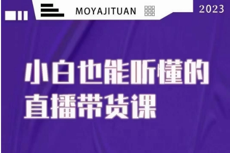 大威本威·能听懂的直播带货课，小白也能听懂，20节完整-婷好网络资源库