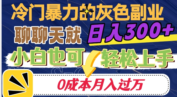 冷门暴利的副业项目，聊聊天就能日入300+，0成本月入过万【揭秘】-婷好网络资源库