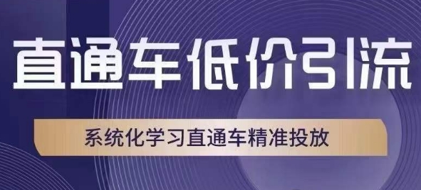 直通车低价引流课，系统化学习直通车精准投放-婷好网络资源库