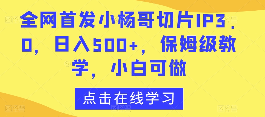 全网首发小杨哥切片IP3.0，日入500+，保姆级教学，小白可做【揭秘】-婷好网络资源库