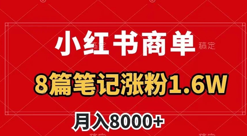 小红书商单最新玩法，8篇笔记涨粉1.6w，作品制作简单，月入8000+【揭秘】-婷好网络资源库