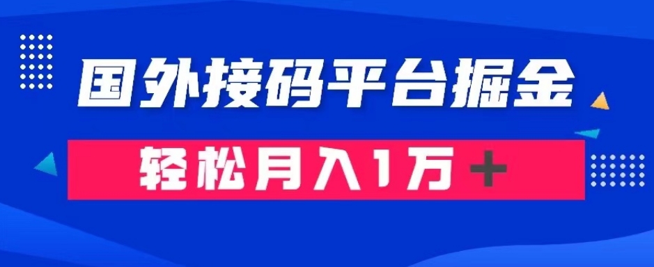 通过国外接码平台掘金：成本1.3，利润10＋，轻松月入1万＋【揭秘】-婷好网络资源库