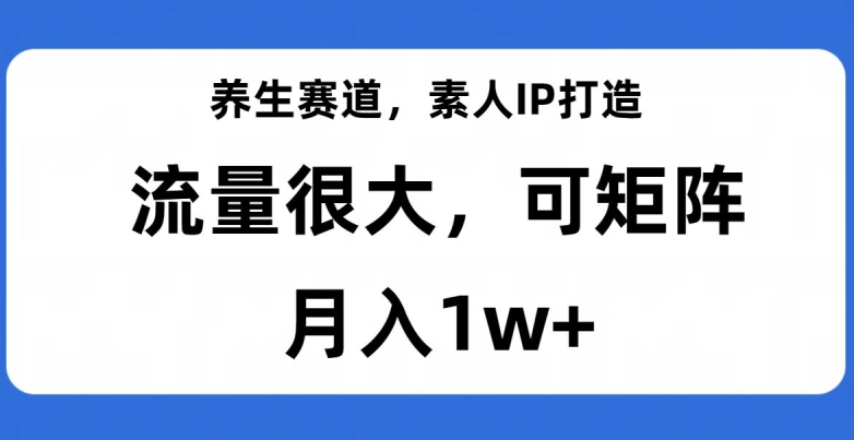 养生赛道，素人IP打造，流量很大，可矩阵，月入1w+【揭秘】-婷好网络资源库