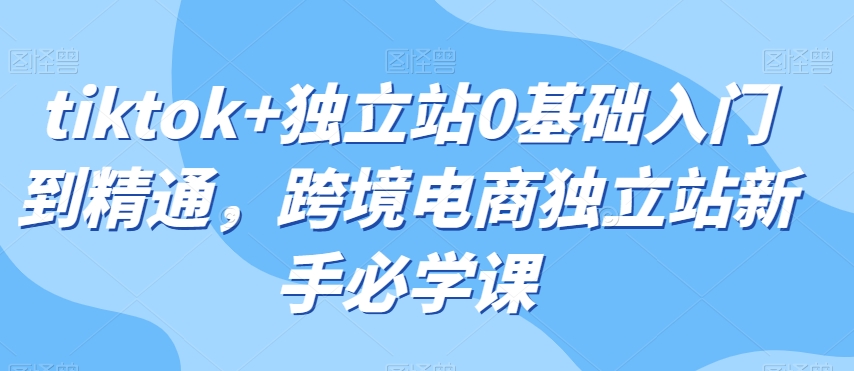 tiktok+独立站0基础入门到精通，跨境电商独立站新手必学课-婷好网络资源库