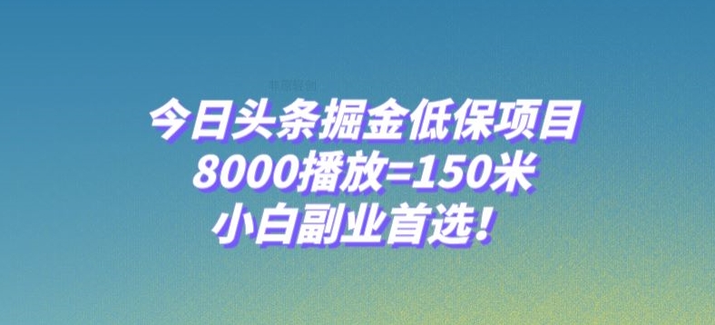 今日头条掘金低保项目，8000播放=150米，小白副业首选【揭秘】-婷好网络资源库