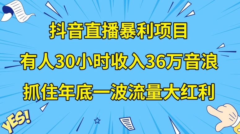 抖音直播暴利项目，有人30小时收入36万音浪，公司宣传片年会视频制作，抓住年底一波流量大红利【揭秘】-婷好网络资源库