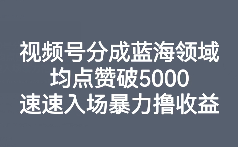 视频号分成蓝海领域，均点赞破5000，速速入场暴力撸收益-婷好网络资源库