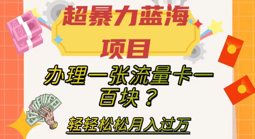 超暴力蓝海项目，办理一张流量卡一百块？轻轻松松月入过万，保姆级教程【揭秘】-婷好网络资源库